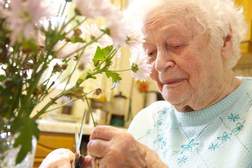 Elderly woman arranging flowers
